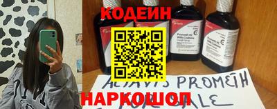 индика Бийск