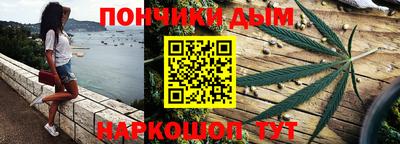 индика Бийск