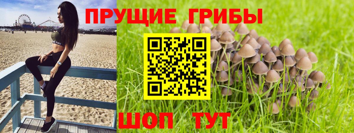 Калуга  Псилоцибиновые грибы ЛСД  Галлюциногенные грибы Magic Shrooms  цены наркотик  Вход с VPN 