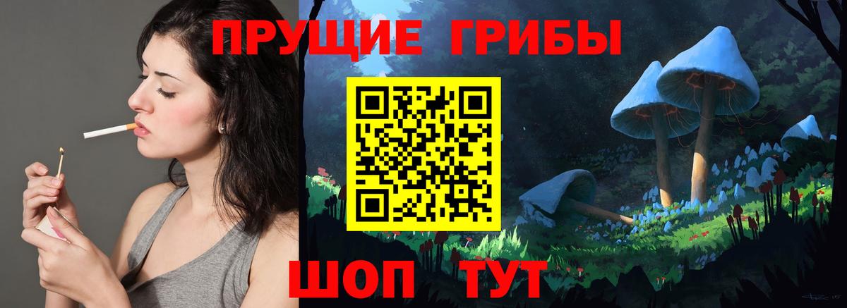 Псилоцибиновые грибы Psilocybe Калуга